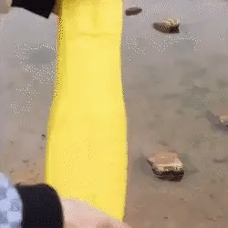 Couvre-Chaussures Imperméable en Silicone